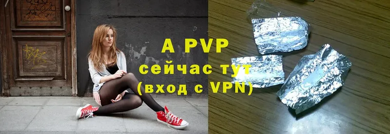 A PVP СК  Майкоп 